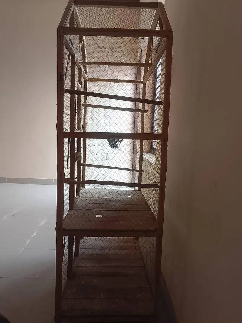 Parrot cage — photo 2