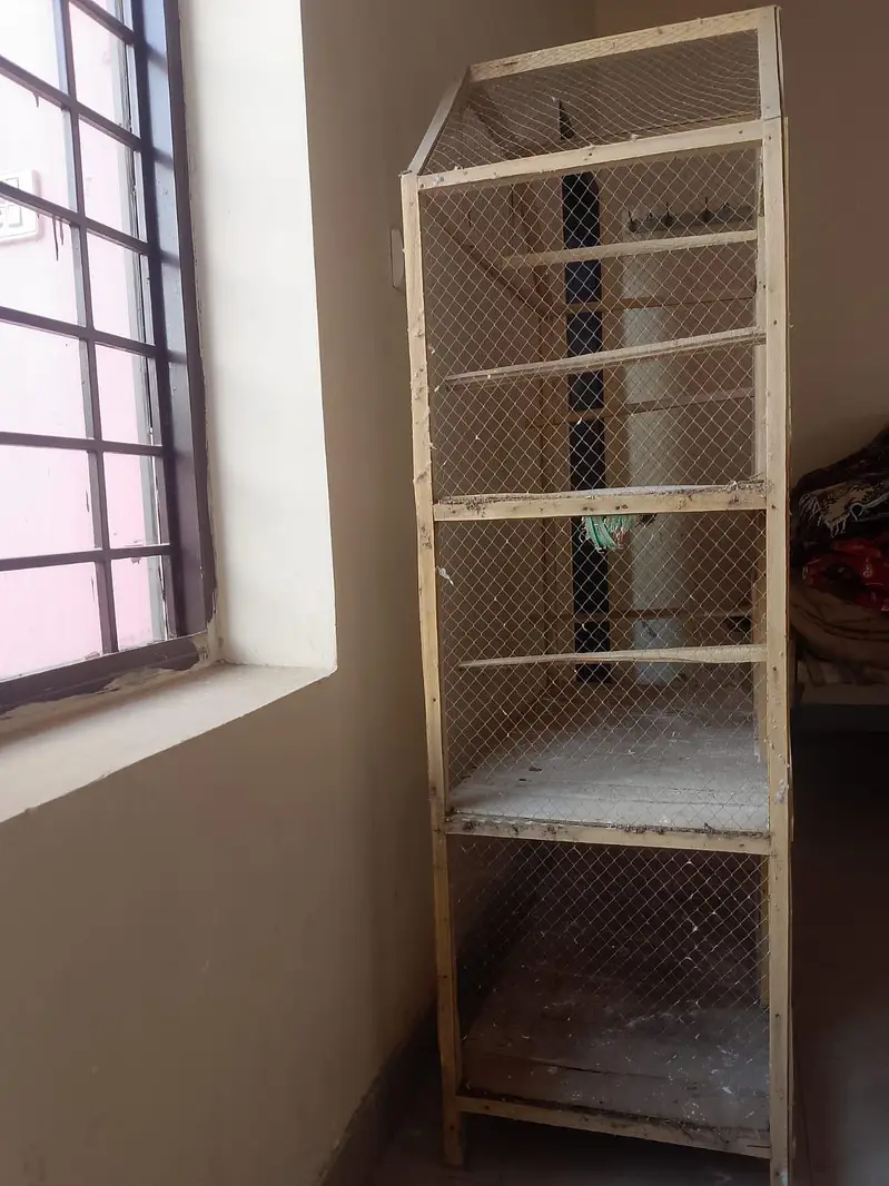 Parrot cage — photo 3