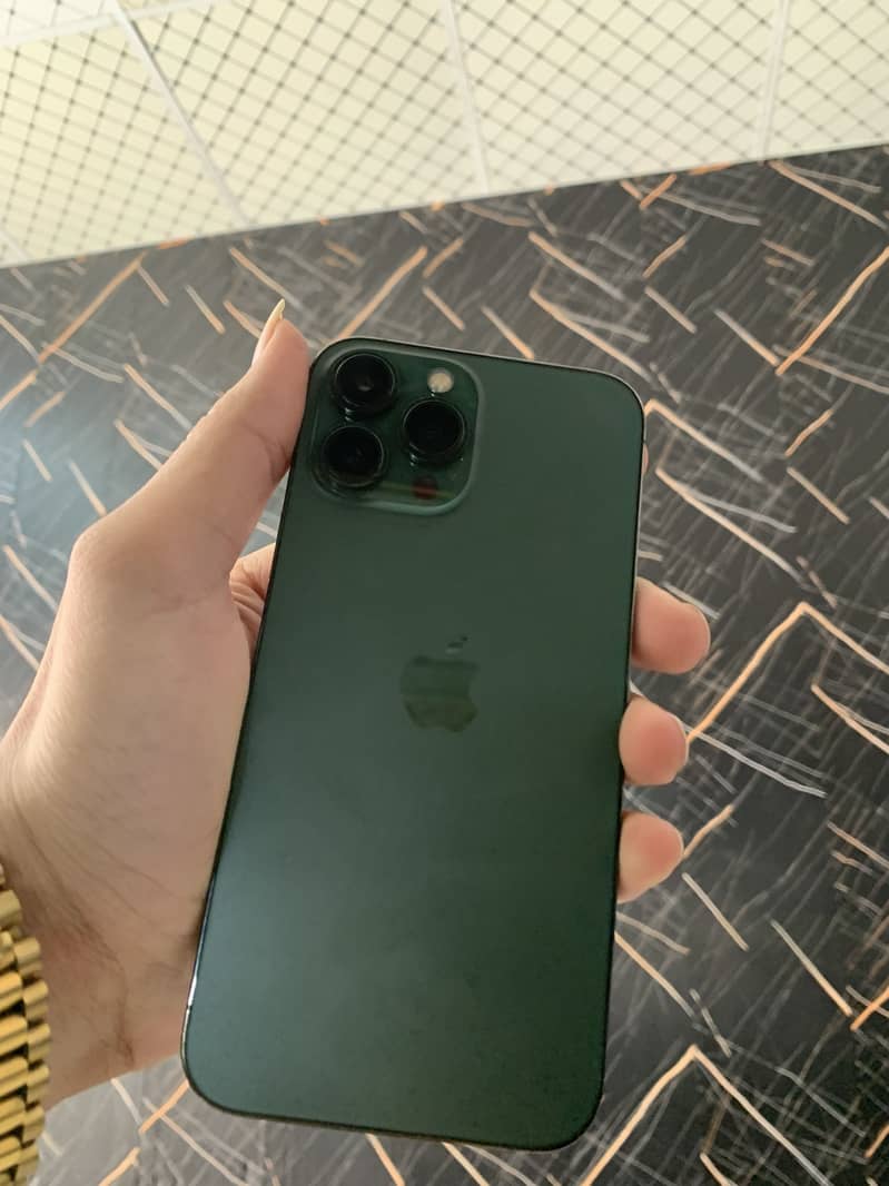 Apple iPhone 13 Pro Max  panel charge 0