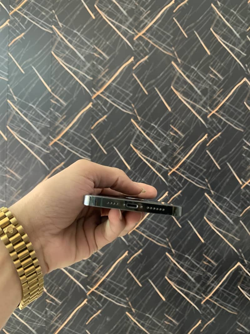 Apple iPhone 13 Pro Max  panel charge 6