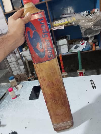 03079291819 pure english bat
