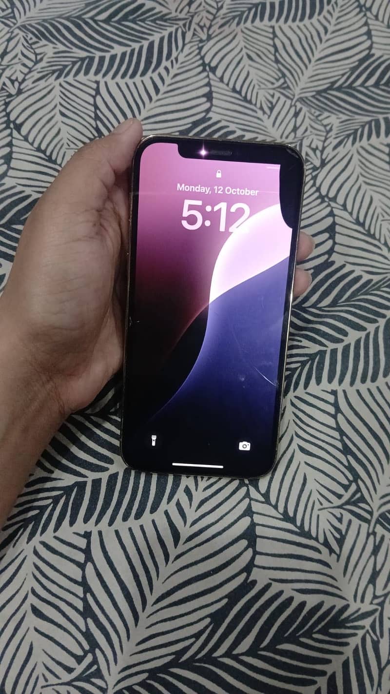 Apple iPhone 12pro 3