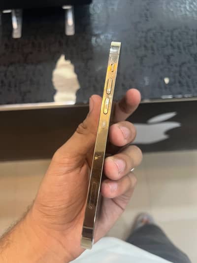 Apple iPhone 12 Pro