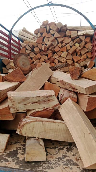 Fire wood and furniture wood Lakri for Industrial use