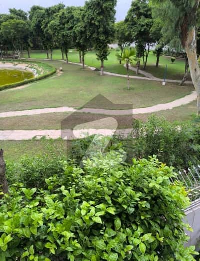 CORNER 200 SQY PLOT BLOCK A, 40 FEET ROAD - GARDEN CITY