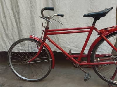 18 inc cycle