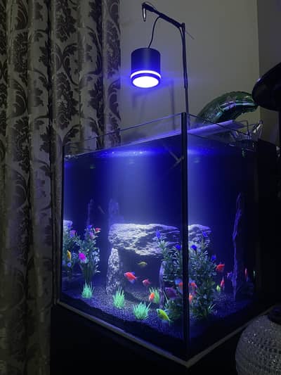 Fish Aquarium 8mm glass