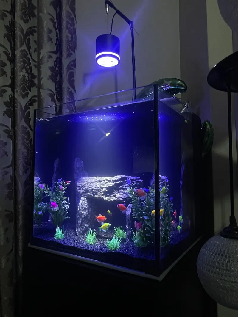 Fish Aquarium 8mm glass — photo 2