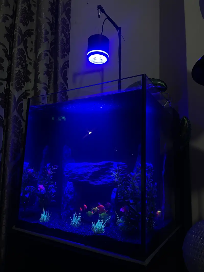 Fish Aquarium 8mm glass — photo 3