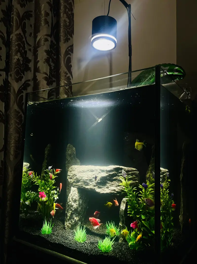 Fish Aquarium 8mm glass — photo 4