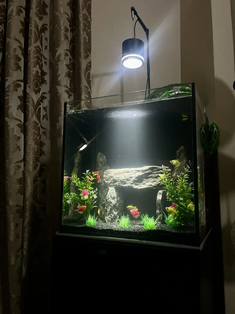 Fish Aquarium 8mm glass — photo 5