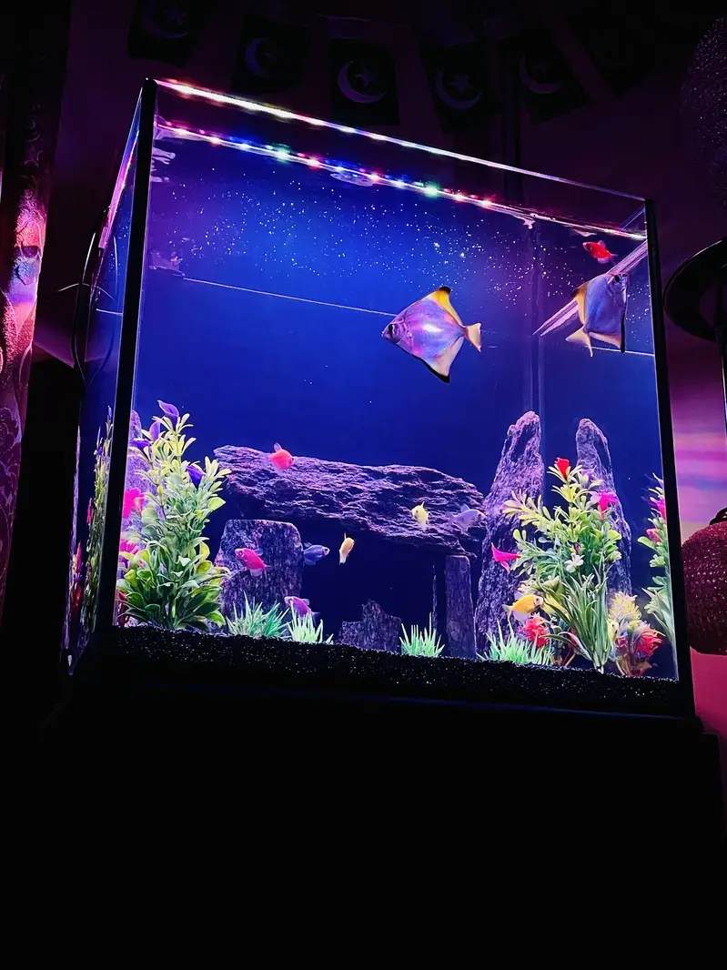 Fish Aquarium 8mm glass — photo 6