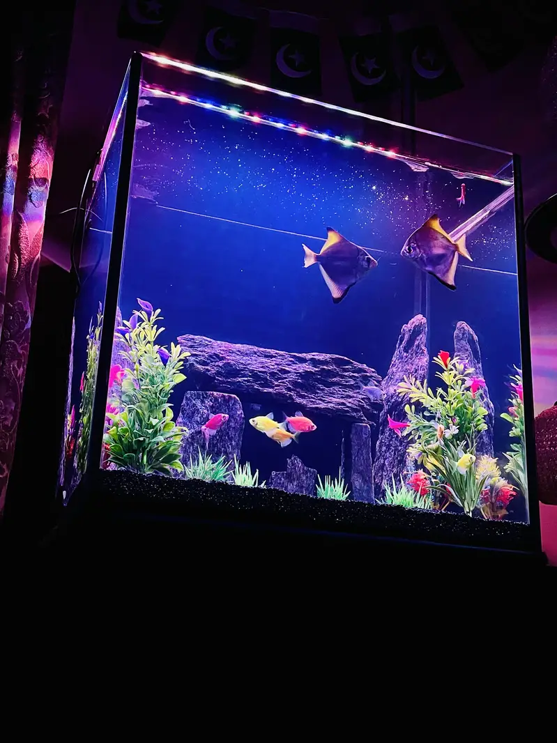 Fish Aquarium 8mm glass — photo 7