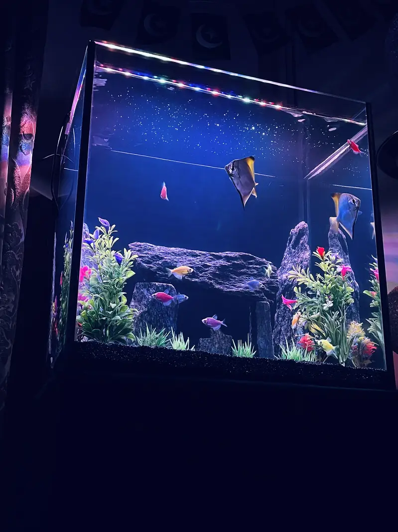 Fish Aquarium 8mm glass — photo 8