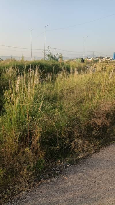 1 Kanal ideally Location plot for sale in G-14/3