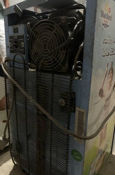Commercial Display Freezerers and Coolers For Sale