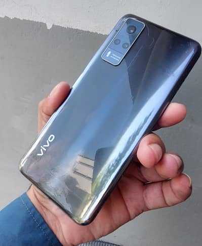vivo y