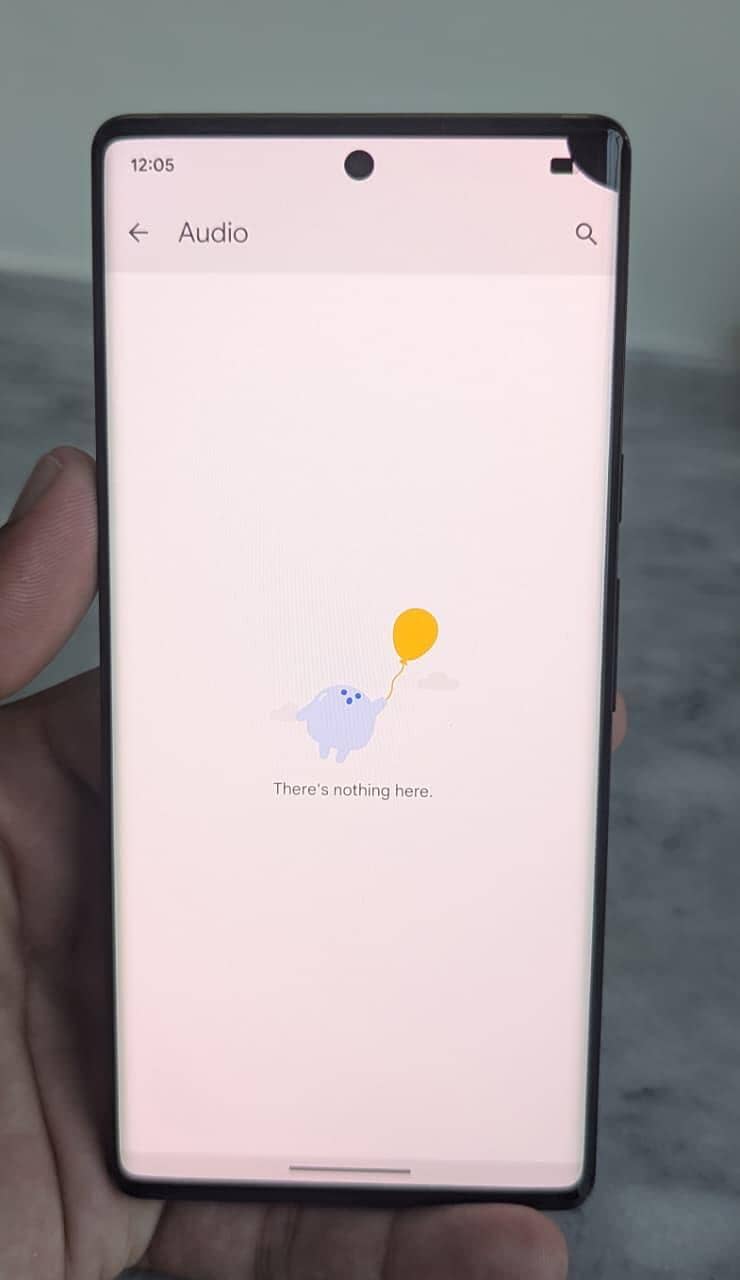 Google Pixel 6 Pro 1