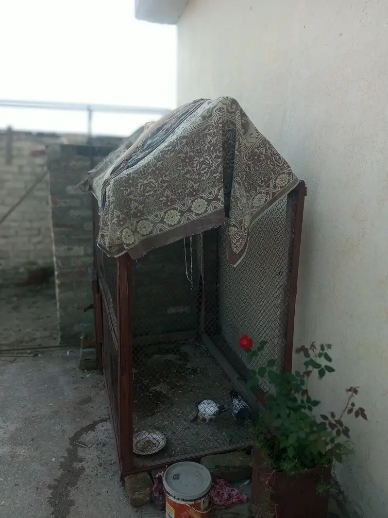 Wooden Bajri colony cage — photo 2