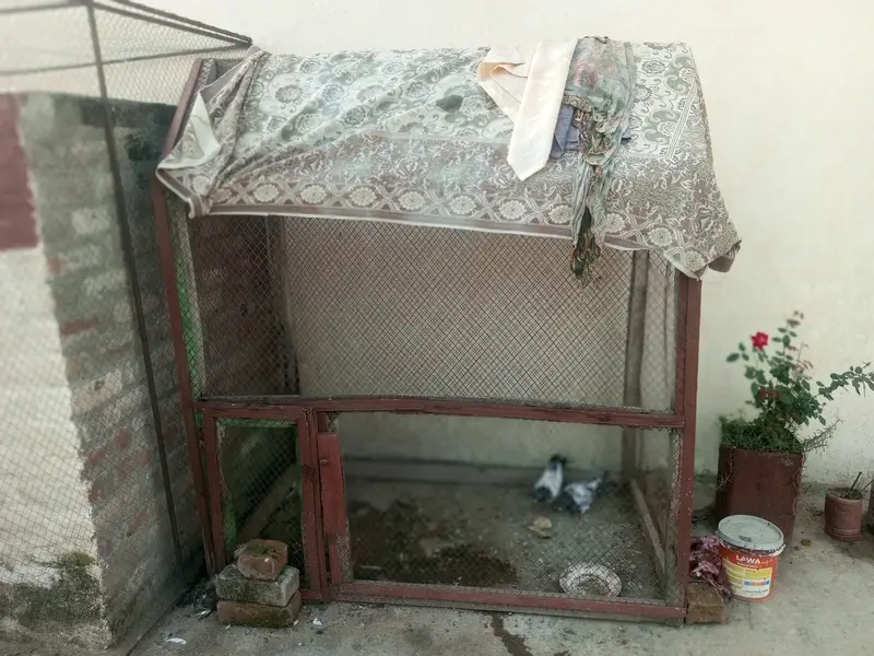 Wooden Bajri colony cage — photo 3