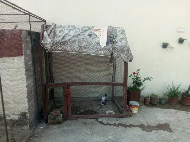 Wooden Bajri colony cage — photo 4