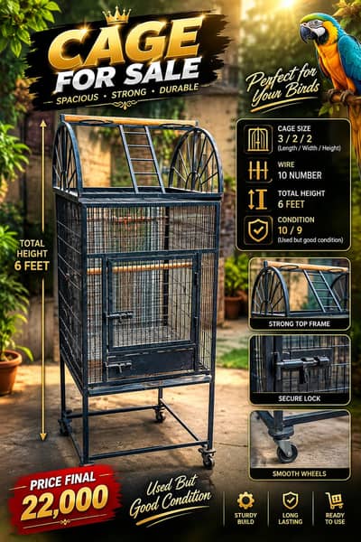 fancy cage maccaw gray cacatoo