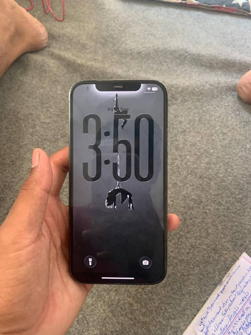 Apple iPhone 12 Pro Max 2
