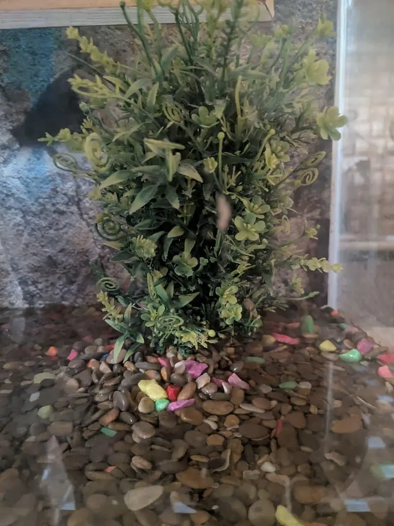 aquarium — photo 2