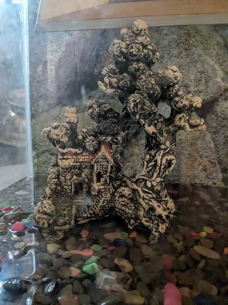 aquarium — photo 3