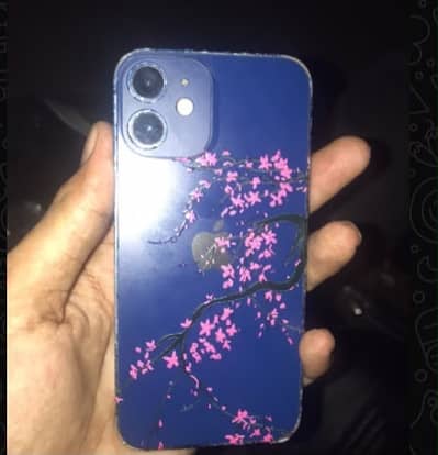 Apple iPhone 12 mini