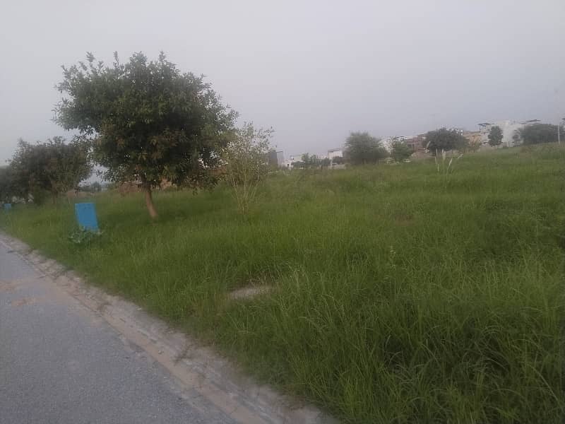 Plot For Sale 1