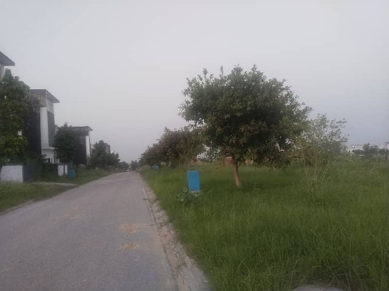 Plot For Sale 2
