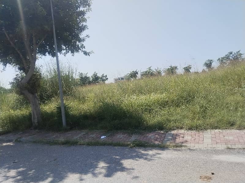 Plot For Sale 7