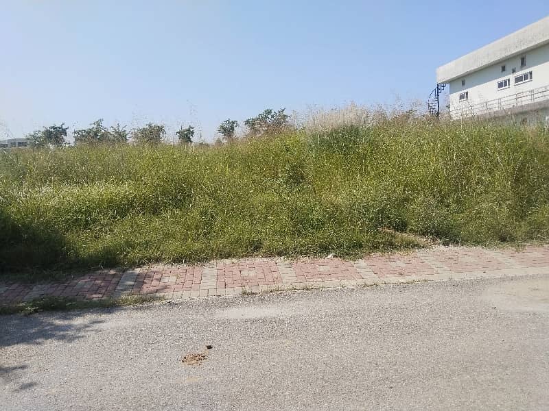 Plot For Sale 8