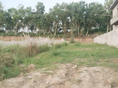 Farm House Land For Sale