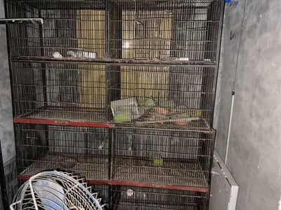 Largest cage for sale with 8_کمپارٹمنٹ