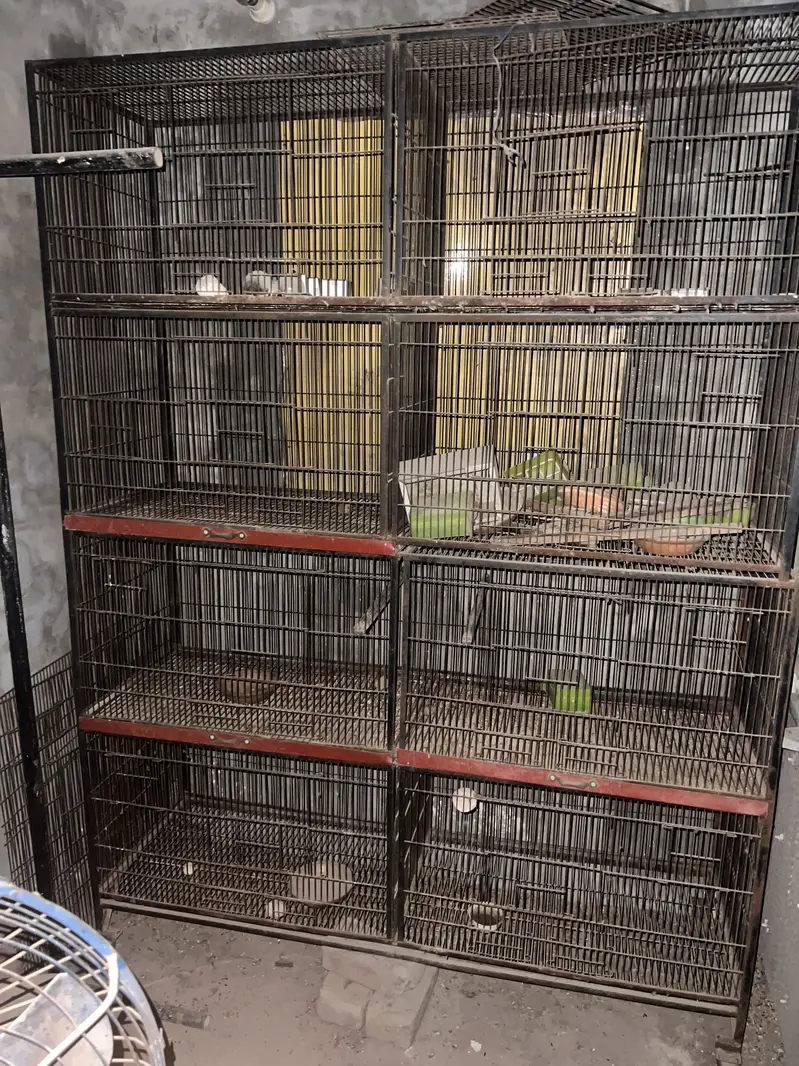 Largest cage for sale with 8_کمپارٹمنٹ — photo 3