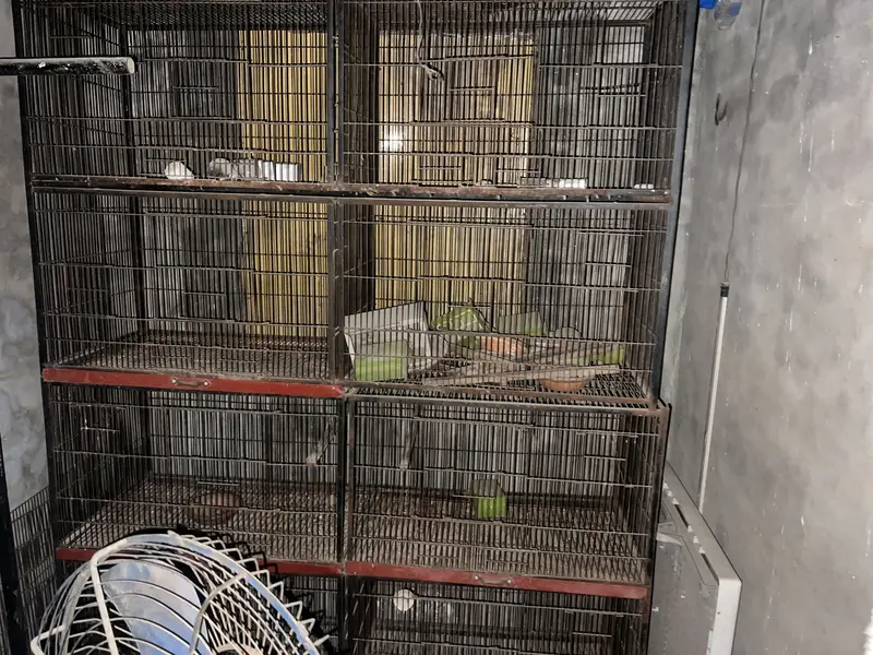 Largest cage for sale with 8_کمپارٹمنٹ — photo 4