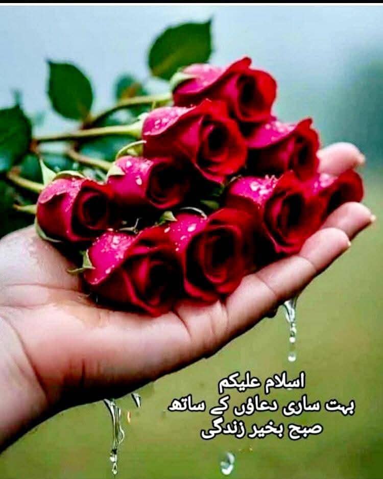 میں ایک اوبر کریم ڈرائیور ہوں اور موجودہ طور پر کام کی تلاش ہے 0