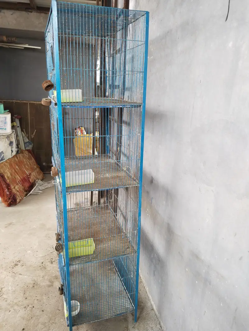 4 Portion Cage for Hens & Birds — photo 3