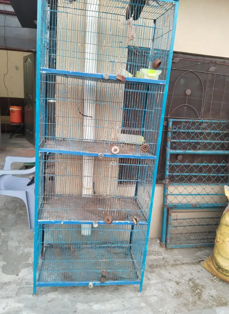 4 Portion Cage for Hens & Birds — photo 4