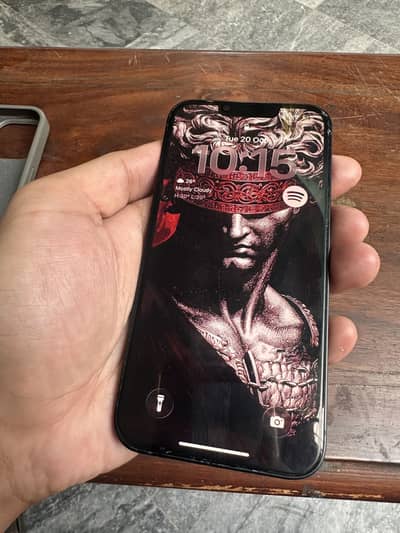 Apple iPhone 13 jv