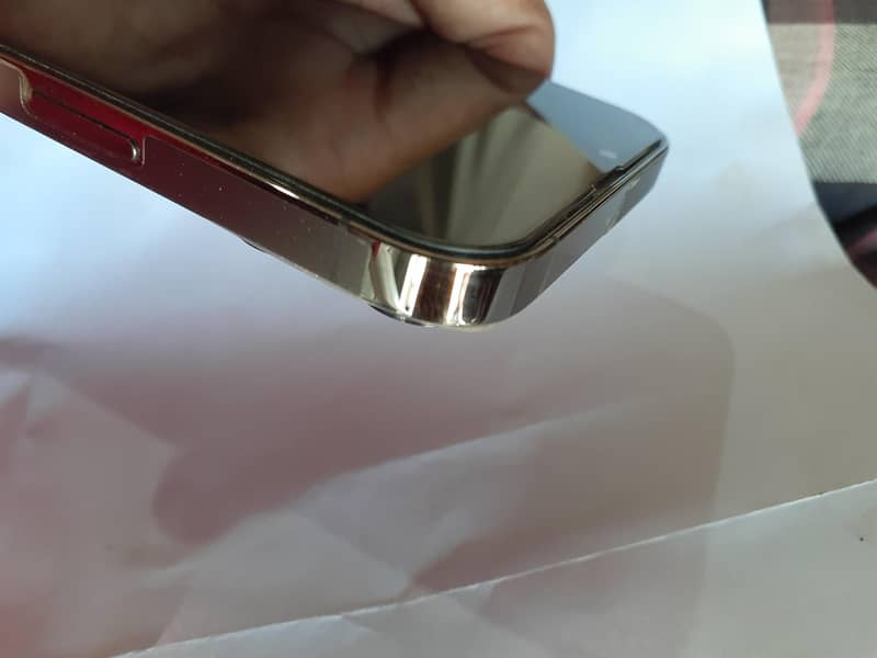 Apple iPhone 13 Pro Max 10