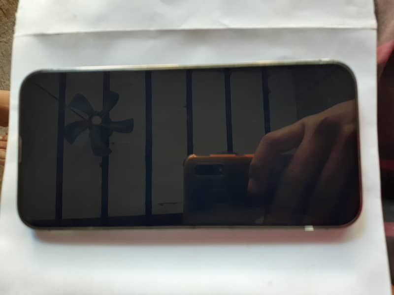 Apple iPhone 13 Pro Max 12
