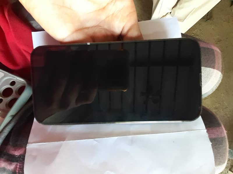 Apple iPhone 13 Pro Max 15