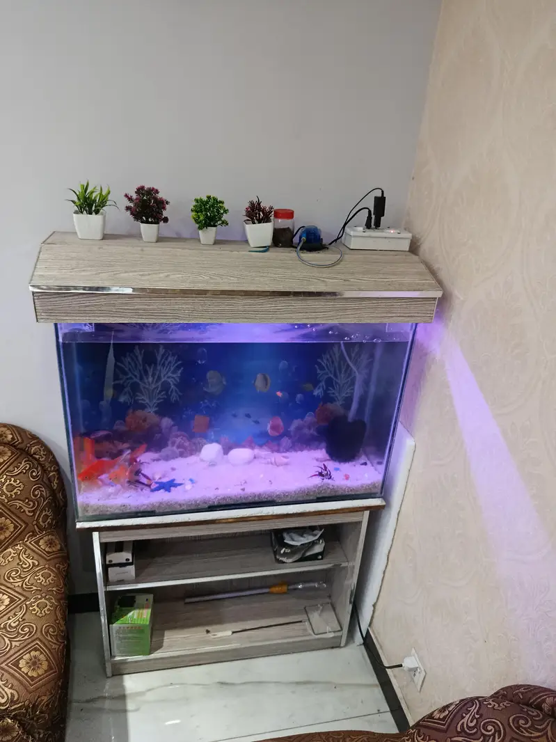 Fish Aqverium sale with fishes — photo 2