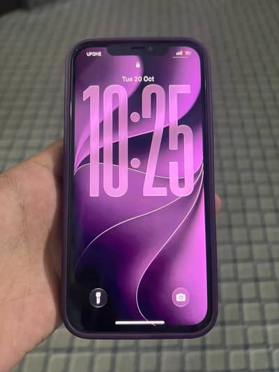 Apple iPhone 12 Pro Max