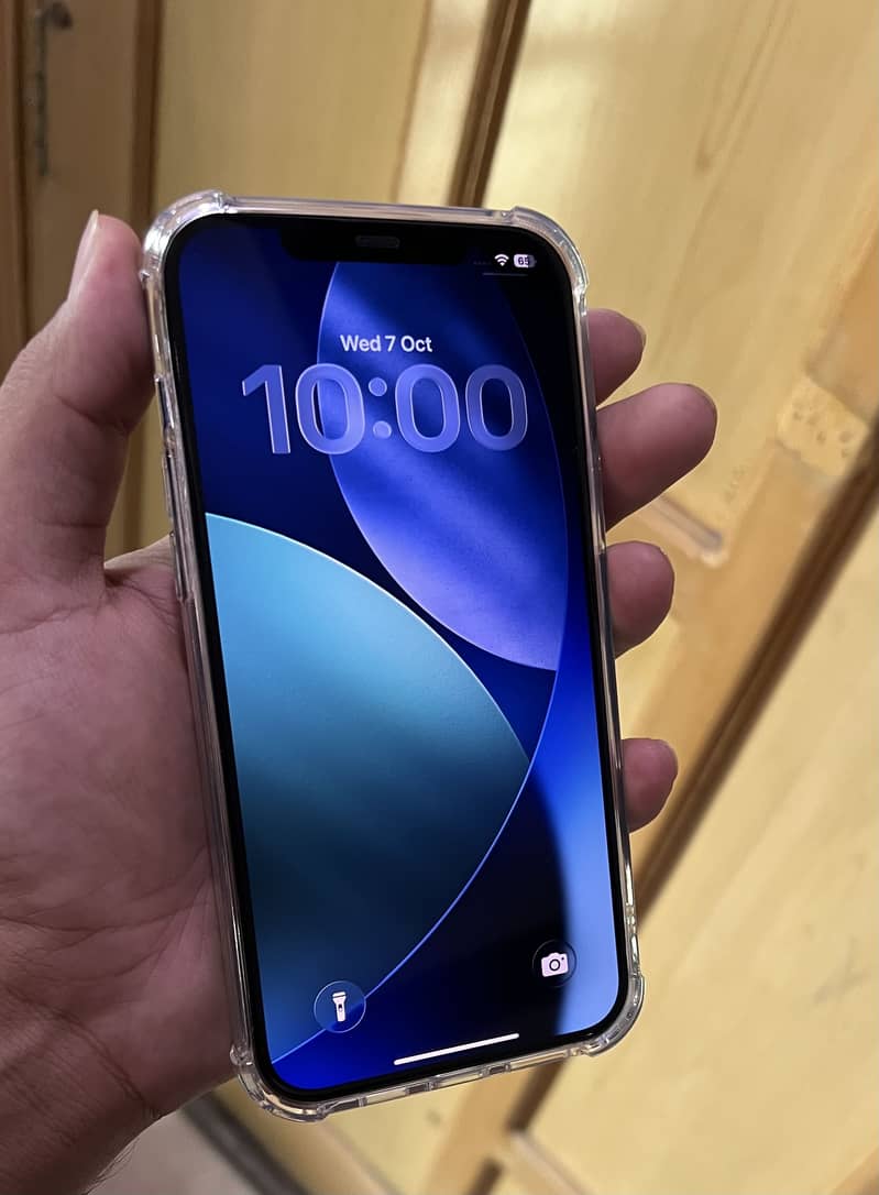 Apple iPhone 12 Pro Max 4