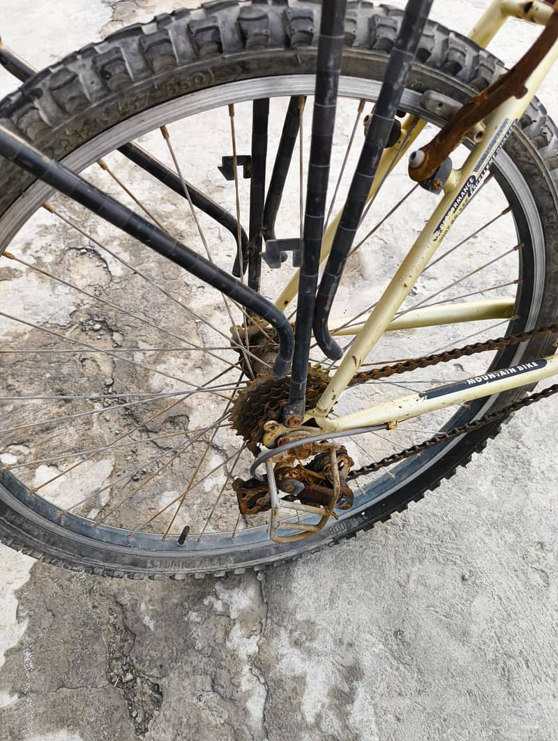Bicycle 5