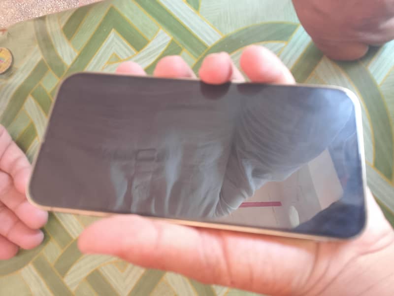 Apple iPhone 13 Pro Max 2